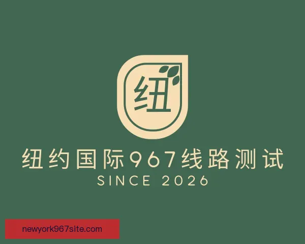 关于纽约国际967线路测试